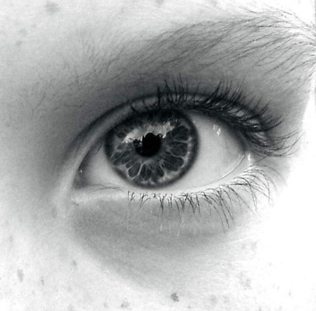 openphotonet_DSCF1469