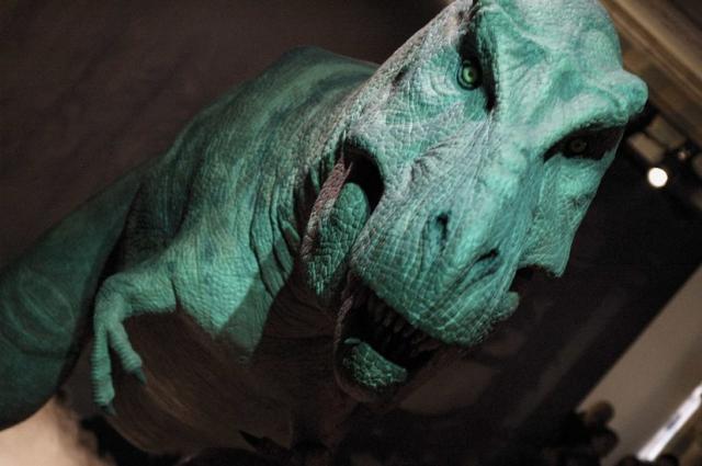 openphotonet_dsc3444